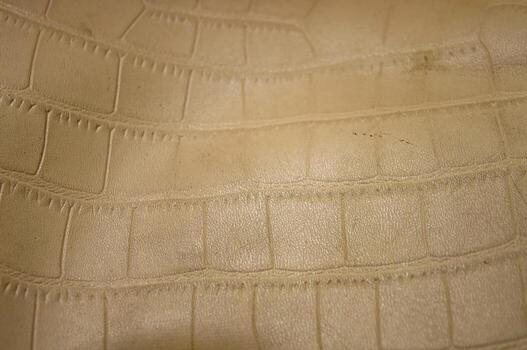 Detailed close up of a light beige crocodile leather pattern, showcasing its embossed texture and design, ideal for backgrounds or textures in fashion and luxury goods contexts photo