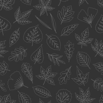 sin costura modelo con contorno hojas en negro fondo, hoja de arce, tilo, álamo, gingko, y otros. impresión para textil, paquete, envase papel. blanco contorno, ilustración vector