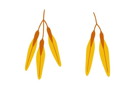 conjunto de semillas arce árbol en amarillo color. sencillo dibujado a mano elemento en un blanco antecedentes para pegatinas, web diseño, y postales vector