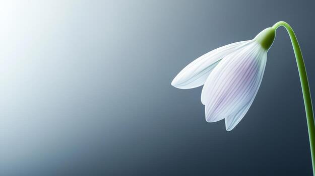 un surrealista campanilla de febrero flor revela sus Exquisito características, destacando suave pétalos y elegante forma en contra un suave degradado antecedentes foto