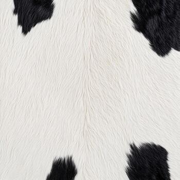 Detailed view of a cow's hide emphasizing a unique pattern of black and white spots, highlighting the texture and color arrangement photo