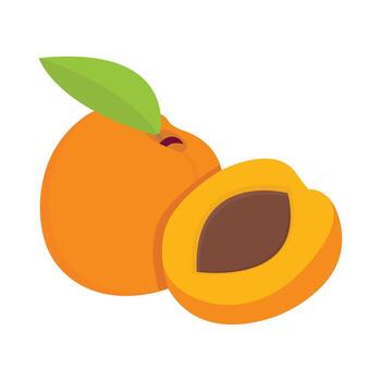 Fresh apricot and its seed vector