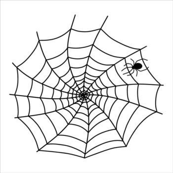 Intricate spider web with a spider at the corner against a plain background vector