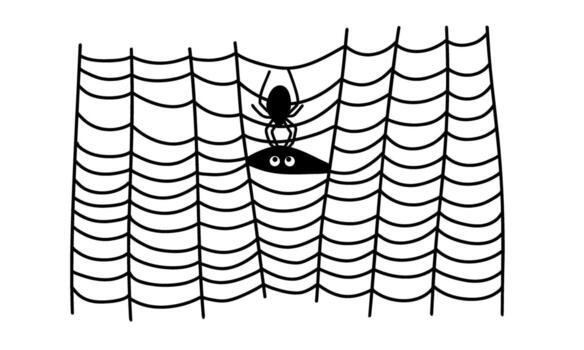 Spider creates intricate web to capture prey in quiet corner of a room vector