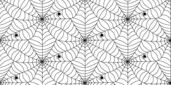 Intricate black and white spider web design showcasing multiple spiders on a patterned backdrop vector