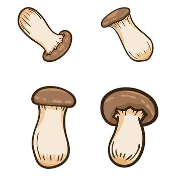 Various mushroom illustrations in different angles vector