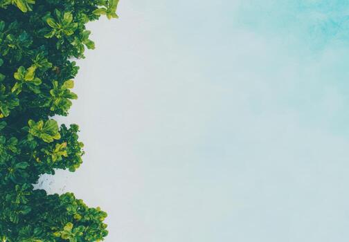 Greens juxtaposed against bright sky create a tranquil natural setting photo