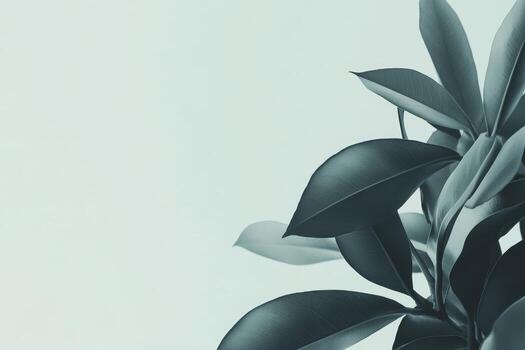 Green leaves against a pale background creating a calming atmosphere photo