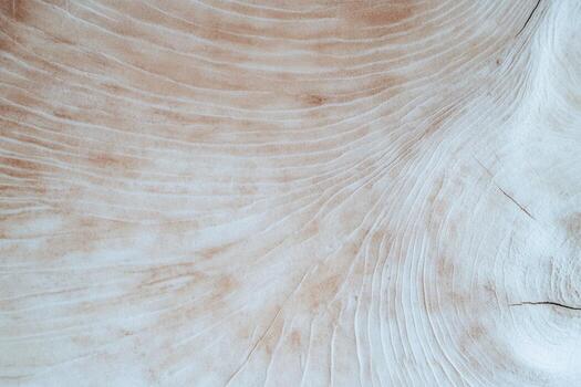 Natural wood texture displaying intricate patterns and fine details photo