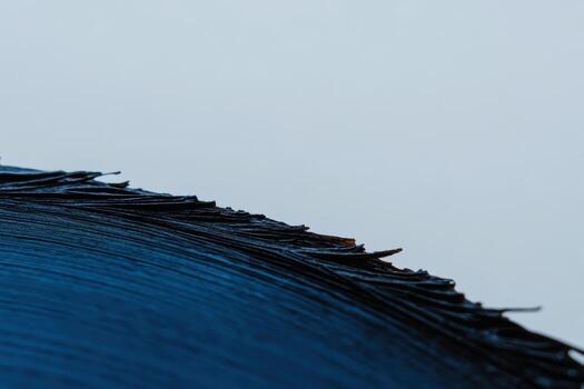 Close-up view of a textured leaf against a pale background during daylight hours photo