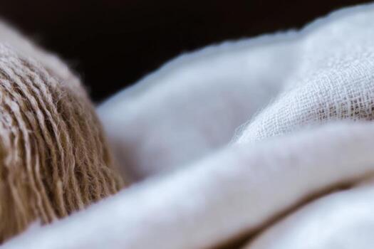 Close-up of natural fibers showcasing texture and detail in soft light photo