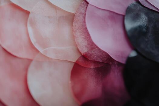 Colored fabric layers arranged in an abstract pattern showcase delicate texture photo