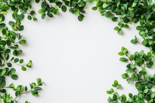 Fresh green leaves arranged in a natural frame on a white background photo