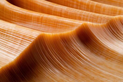 Rippling patterns of a large seashell displaying natural textures and colors photo