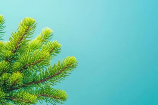 Bright green coniferous branch against a soft blue background photo