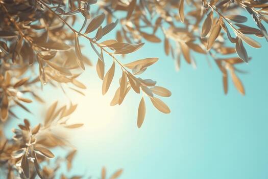 Sunlight filtering through lush green leaves on a clear blue day photo