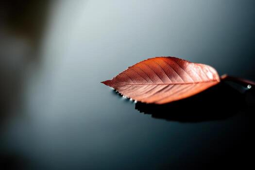 Colorful autumn leaf resting on smooth surface reflecting light in tranquil setting photo