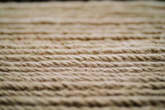 Natural fiber ropes laid out in parallel lines on a textured surface photo