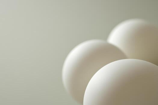 Delicate white eggs arranged on a soft neutral background in warm light photo