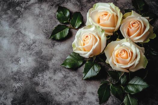suave melocotón rosas arreglado en un texturizado gris superficie con verdor foto