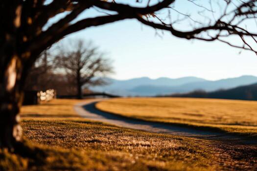Scenic mountain view with winding path and leafless tree at sunset photo