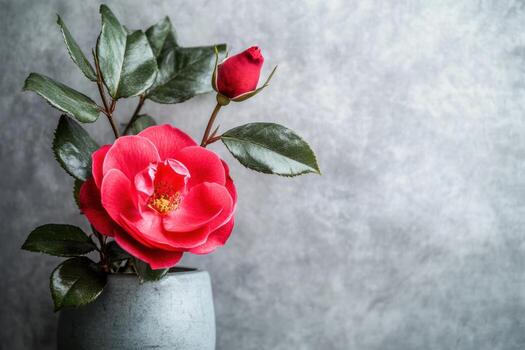 Pink rose and bud in a simple vase against a textured background photo