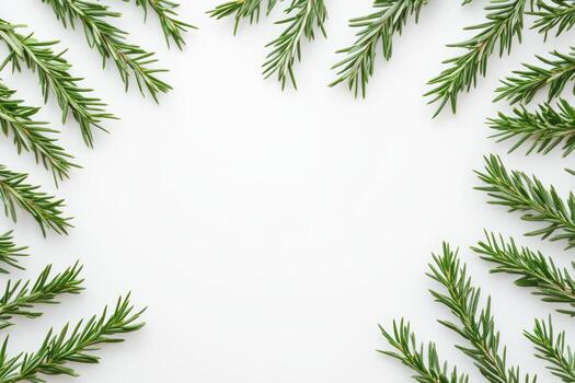 Fresh green herbs arranged in a decorative pattern on a clean surface photo