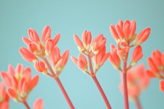 Colorful spring flowers against a soft blue backdrop create a vibrant display photo
