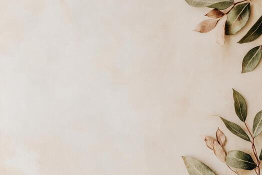 Natural leaves arranged on a minimalist background for an aesthetic touch photo