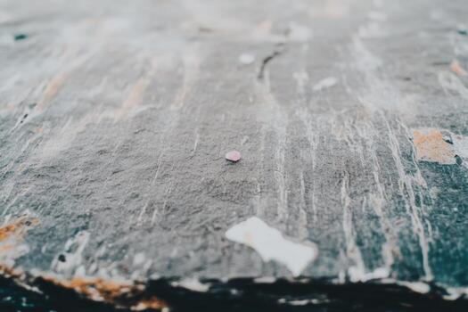Small pink object resting on a textured gray surface in a natural setting photo