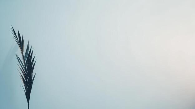 Silhouette of a single palm leaf against a soft pastel background at dawn photo