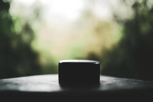 Moody close-up of a dark object on a blurred background in nature photo