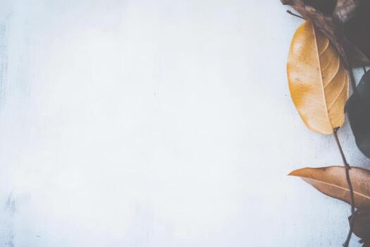 Dried leaves arranged artistically on a textured surface during autumn photo