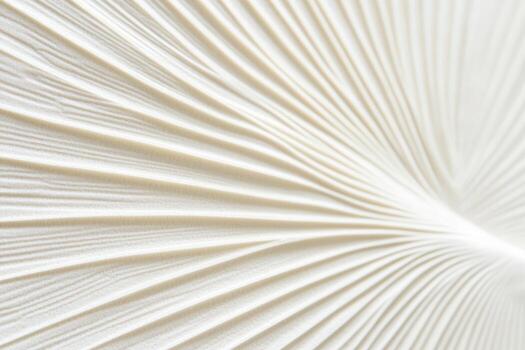 Abstract white textured pattern created by folded paper photo