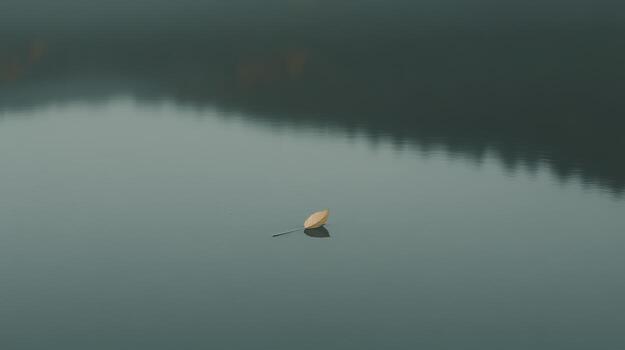 Calm lake surface reflects nature with a single leaf drifting quietly photo