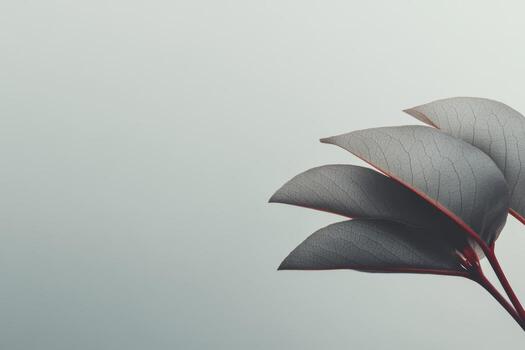 Leaves with subtle textures and colors against a soft background at dawn photo