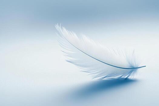 Soft blue feather resting gently on a smooth light surface in serene ambiance photo