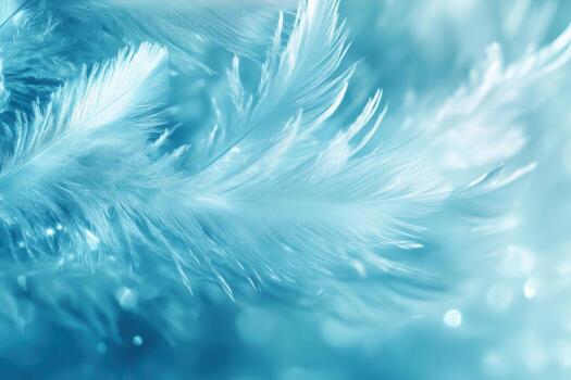 Bright blue feathers softly illuminated against a dreamy background photo
