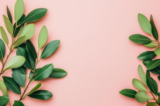 Green foliage borders on a soft pink background creating a fresh look photo