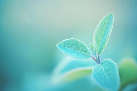 Close-up view of delicate green leaves with soft focus in nature photo