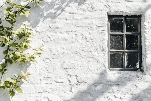 Charming white wall with rustic window and green vines in sunny location photo
