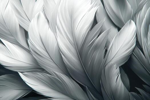 Close-up of sleek silver feathers with detailed texture and intricate patterns photo