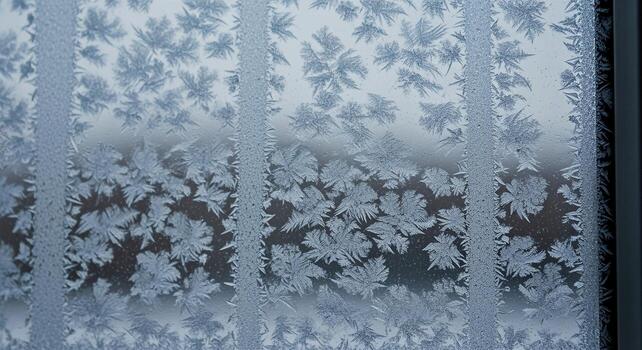Intricate frost patterns creating a beautiful winter scene on a window pane. photo