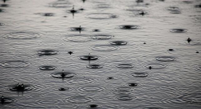 Raindrops creating ripples on a dark water surface, creating a calming effect. photo