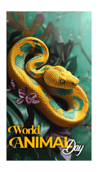 verde árvore Pitão juvenil fechar-se em ramo com Preto fundo verde árvore Pitão Morelia viridis psd