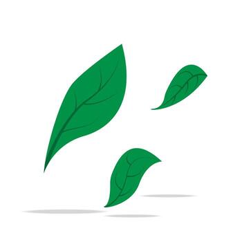 Three flying leaves. with flat colors, good complement in an object vector