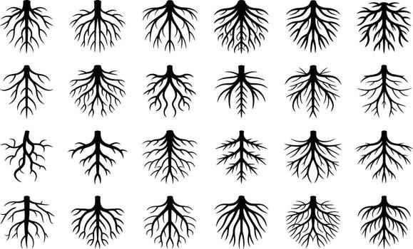 A collection of stylized black root system illustrations showcasing diverse shapes and branching patterns against a clean white background. vector