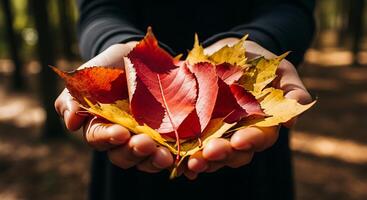 manos participación otoño hojas en brillante al aire libre de cerca foto
