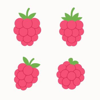 Flat Simple Raspberry Fruit Illustration Set on Isolated Background vector