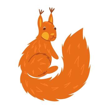 Cute red squirrel. Flat, colored, isolated illustration. Object in the forest. A squirrel with a fluffy tail is looking at us. Soft, fluffy fur. Forest animals. Picnic, hike, walk in the forest vector